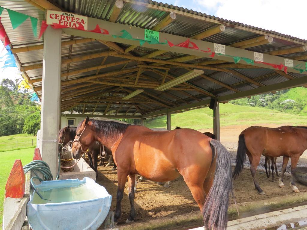 Finca Recreacional Marcelandia Санта-Роса-де-Кабаль Экстерьер фото